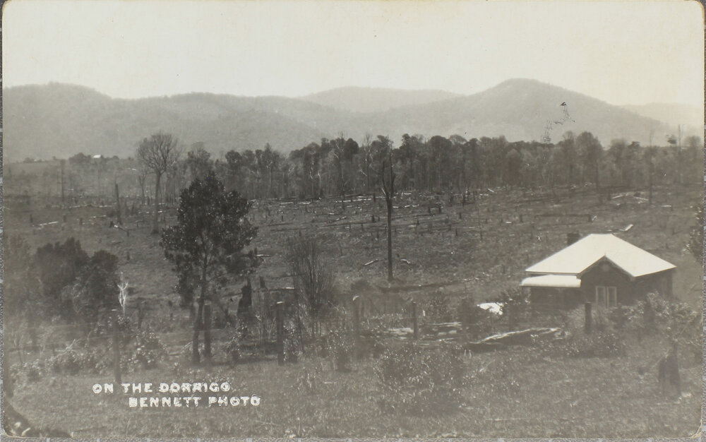 On the Dorrigo