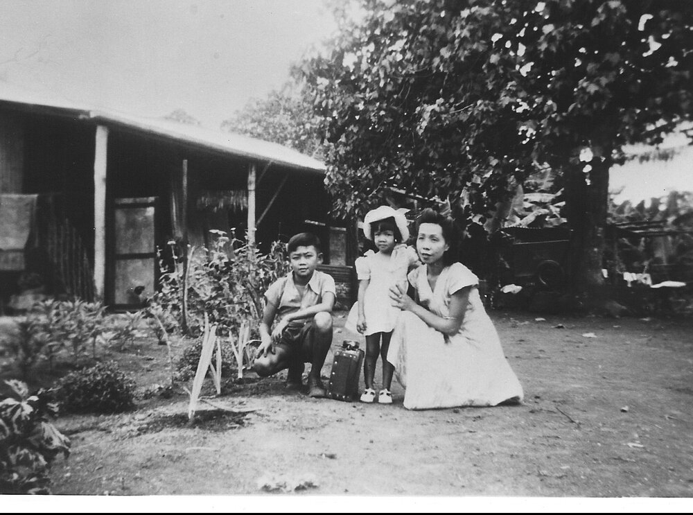 Bailu plantation, 1950