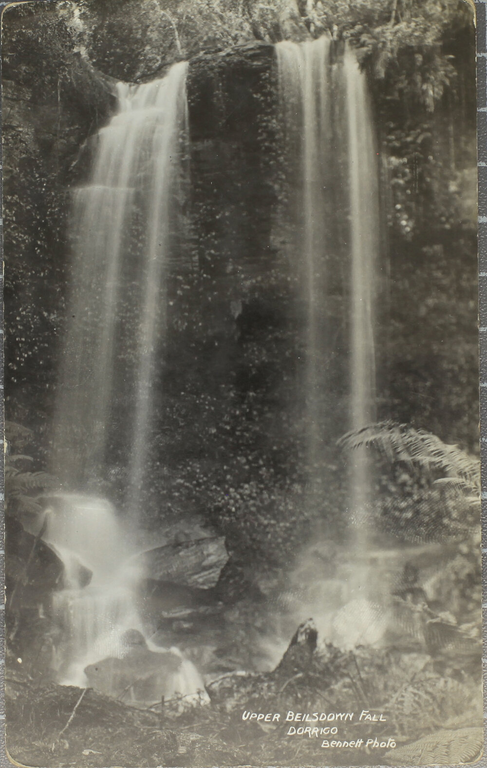 Upper Beilsdown Fall, Dorrigo