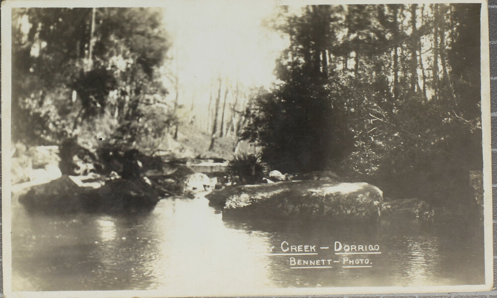 Unidentified creek, Dorrigo