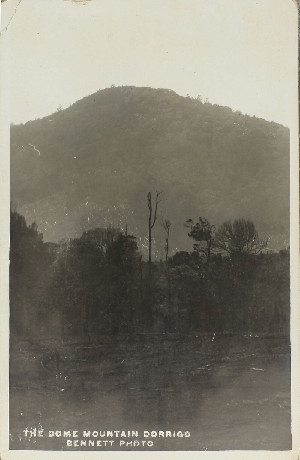 The Dome Mountain, Dorrigo