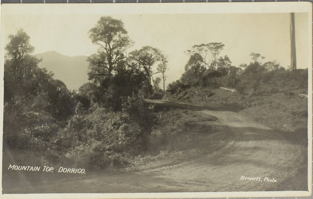 Mountain Top, Dorrigo (Road)
