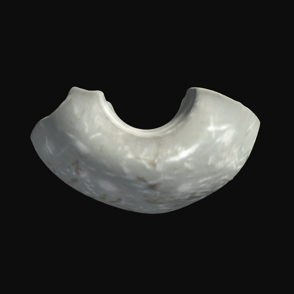 MA1978.144.1 Spindle whorl half