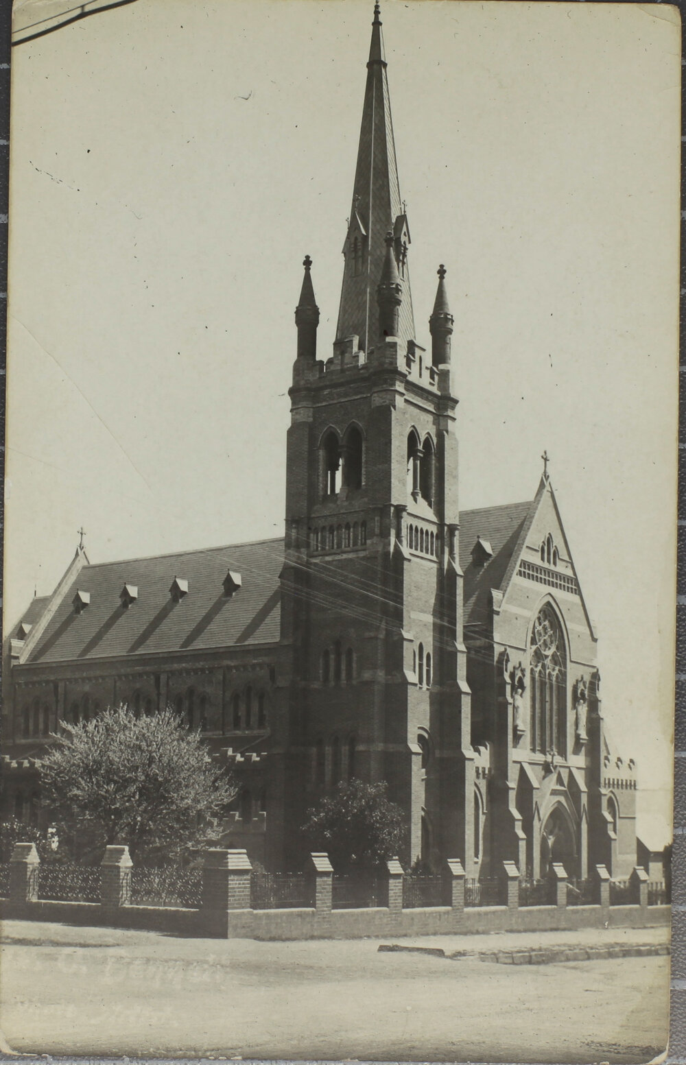 St Mary's Cathedral (from Smith House)
