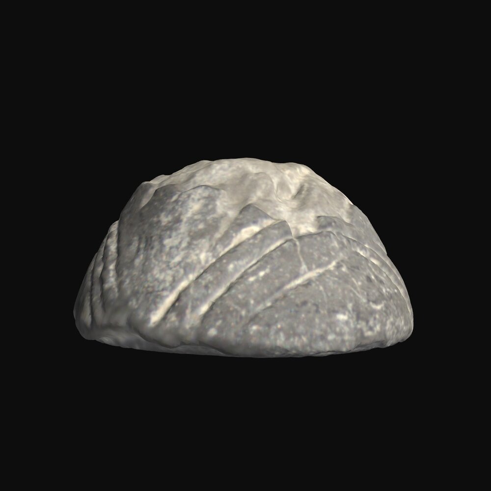 MA1978.89.1 Black Polished Ware spindle whorl