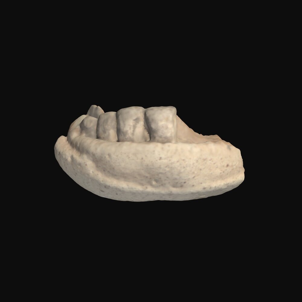 MA1978.94.5 Male head figurine fragment