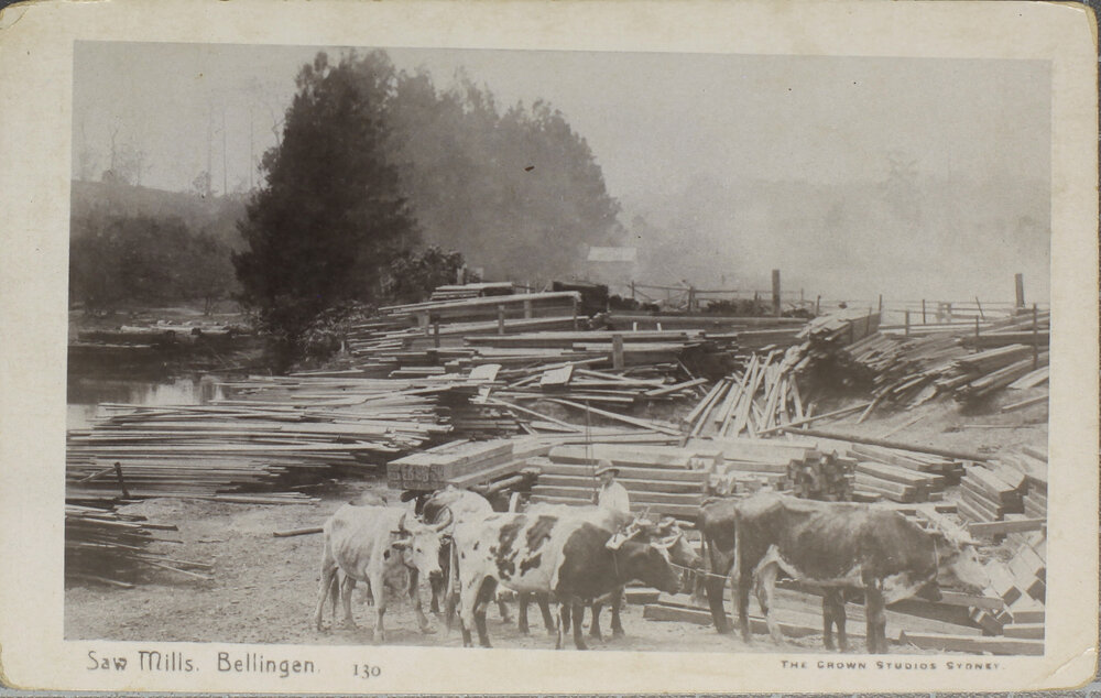 Saw Mills, Bellingen