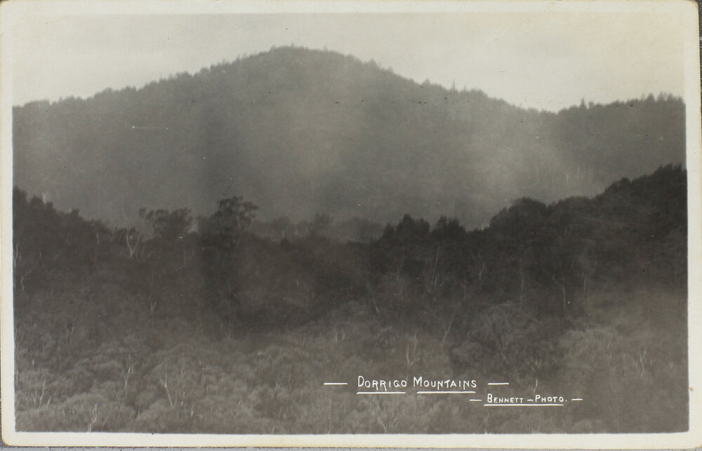 Dorrigo Mountains