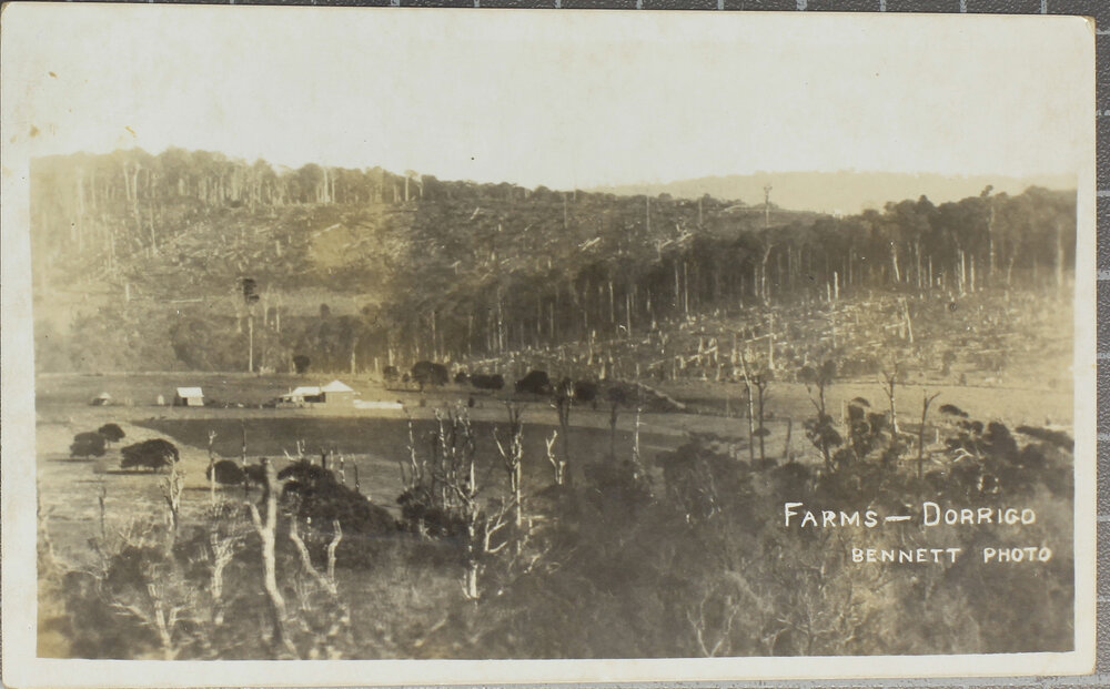 Farms, Dorrigo