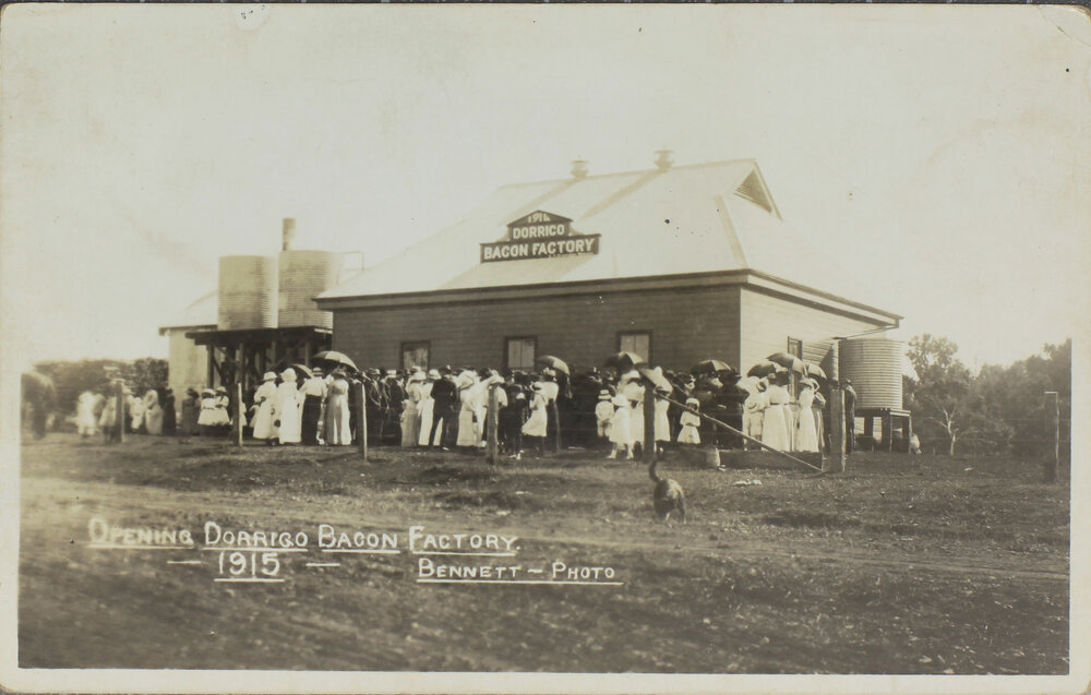 Opening Dorrigo Bacon Factory, 1915