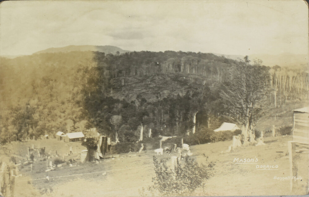 Mason's, Dorrigo