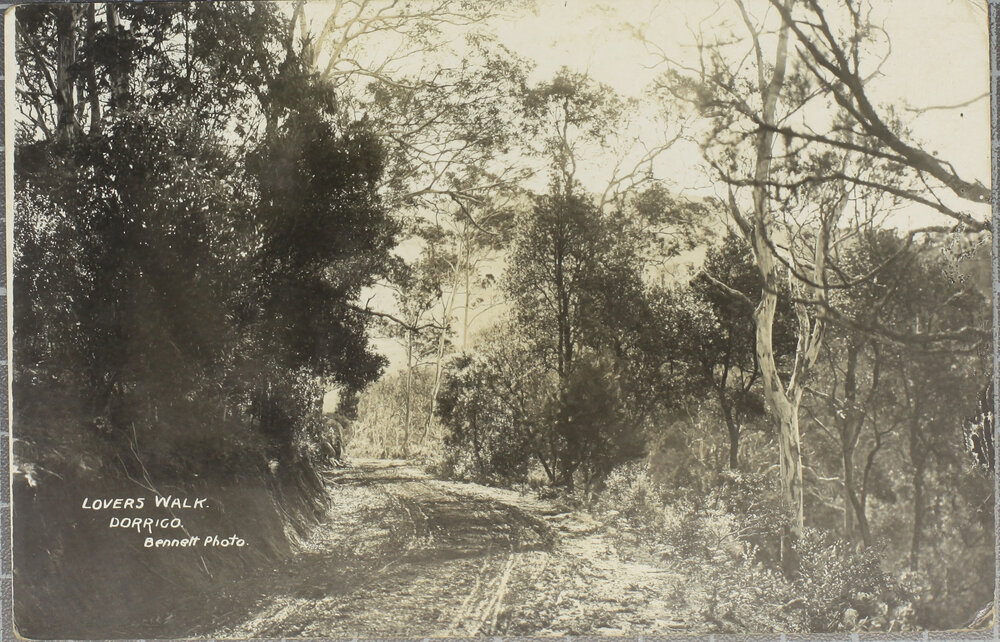 Lover's Walk, Dorrigo