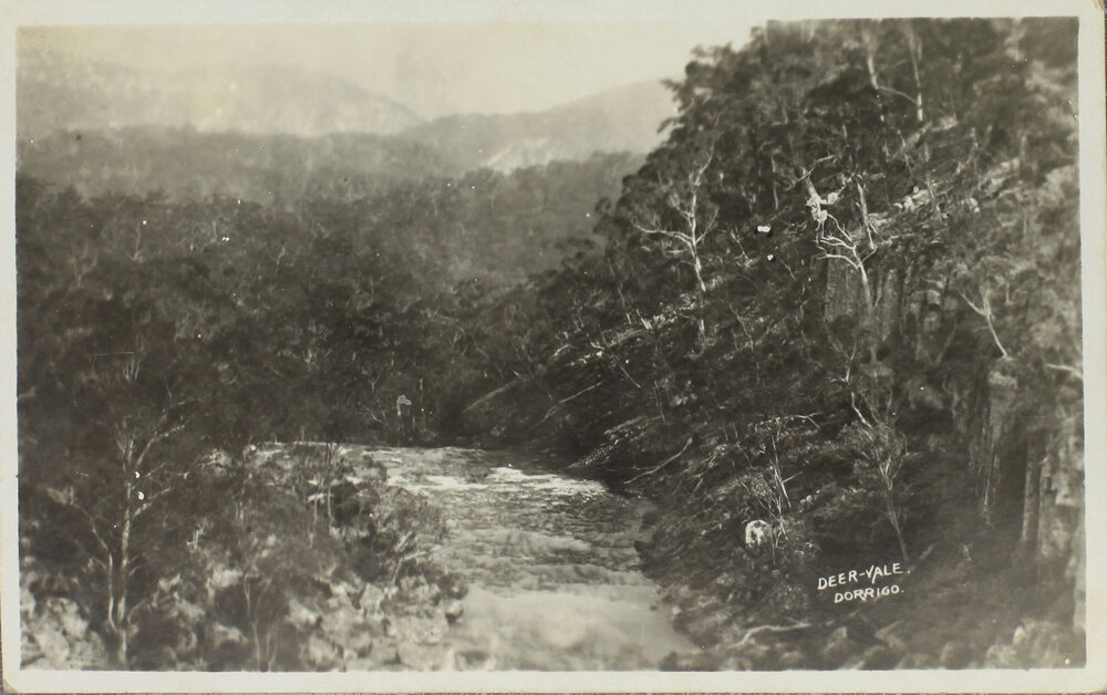 Deer-Vale, Dorrigo