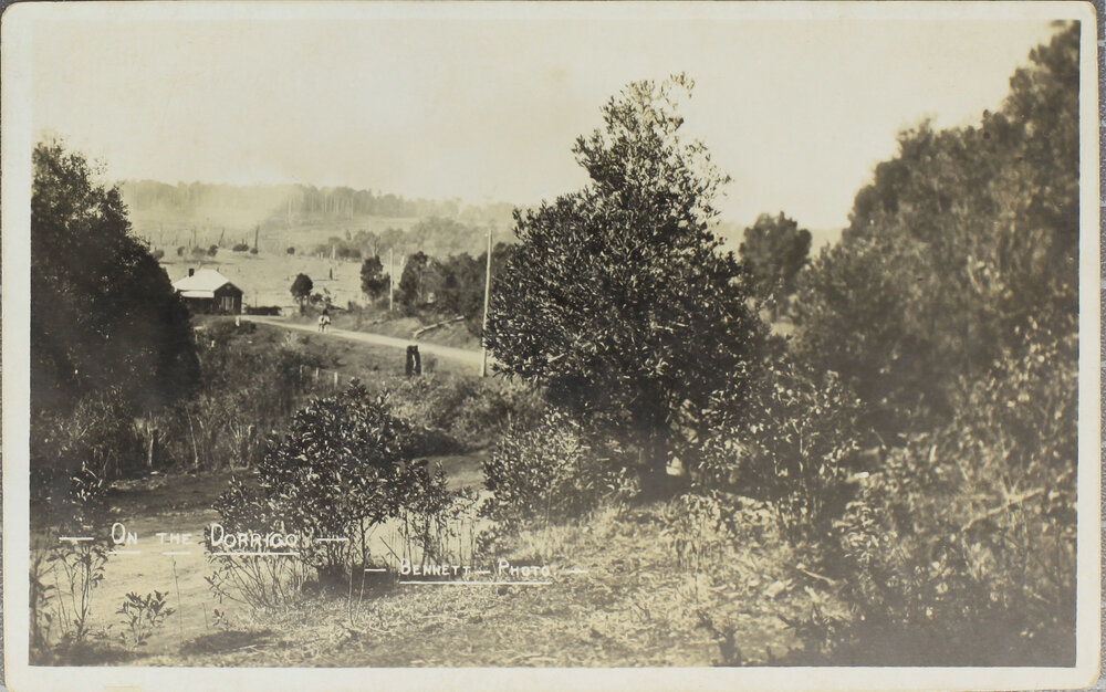 On the Dorrigo