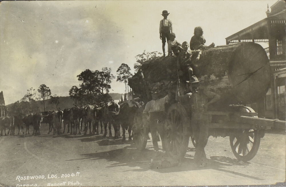 Rosewood Log, 2004 ft, Dorrigo