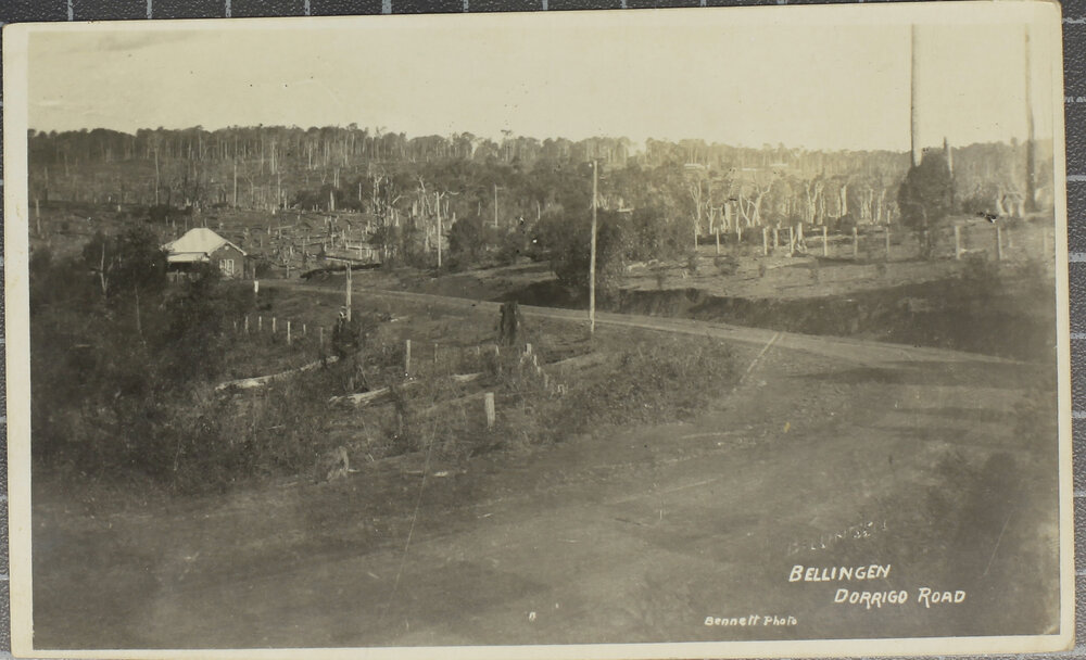 Bellingen-Dorrigo Road