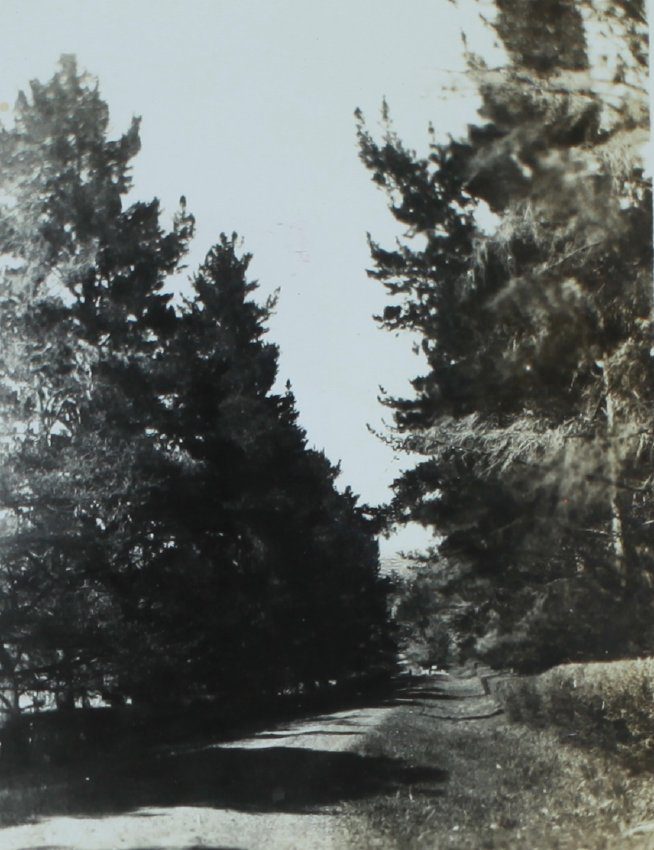 Driveway N.E.U.C. October 1938 O.J.A.