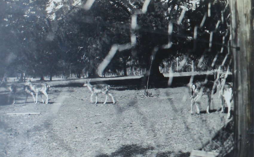 Deer Park New England University College, October 1940