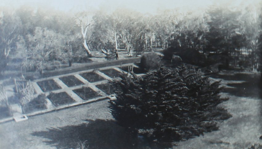 Rose Garden from Tower NEUC August 1938 Booloominbah [D.J.A]