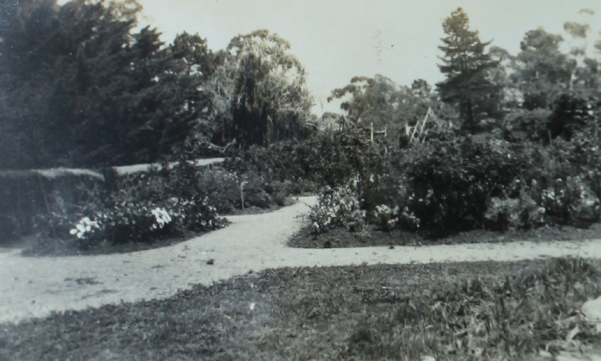 Rose Garden Booloominbah