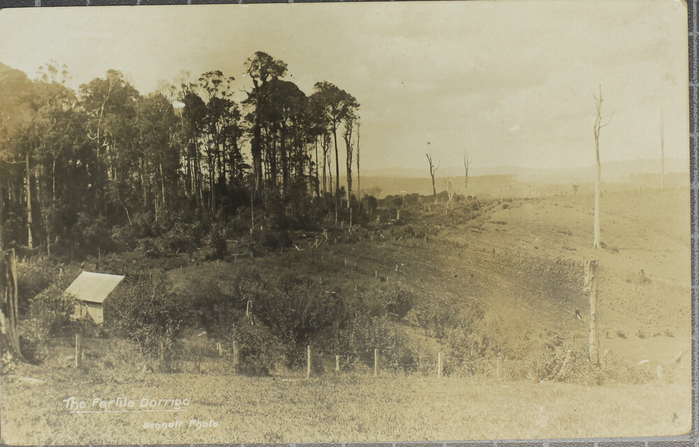 The Fertile Dorrigo