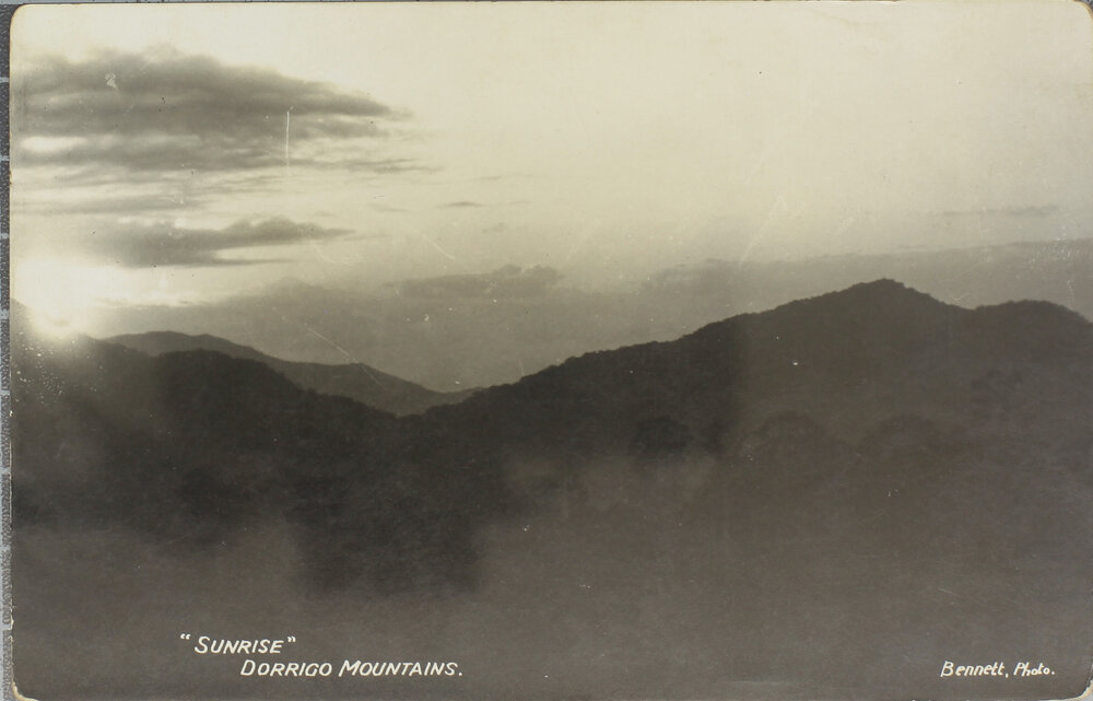 Sunrise, Dorrigo Mountains
