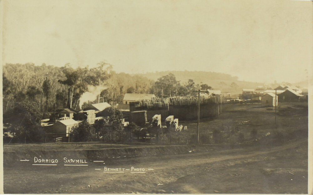 Dorrigo Sawmill
