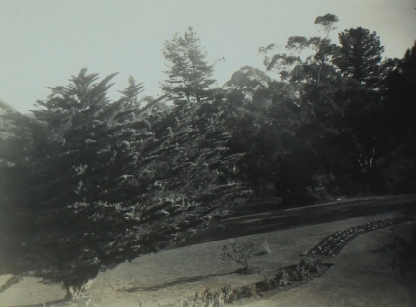 Southern Lawn of Booloominbah