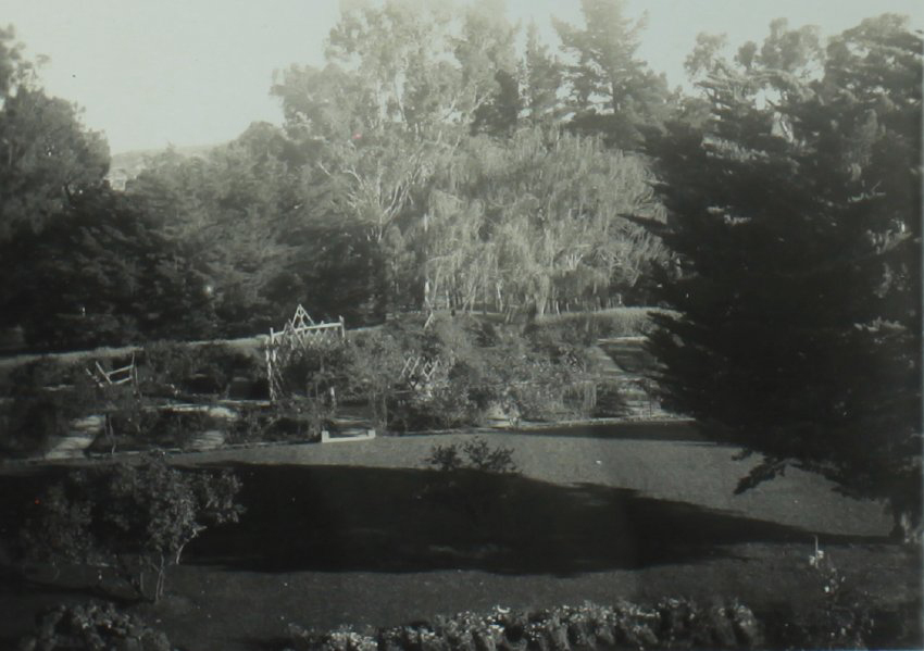 View of rose garden from south balcony, Booloominbah