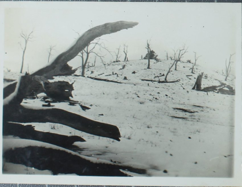 Snowfields near Guyra