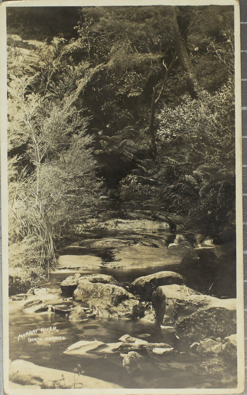 Murray River, North Dorrigo