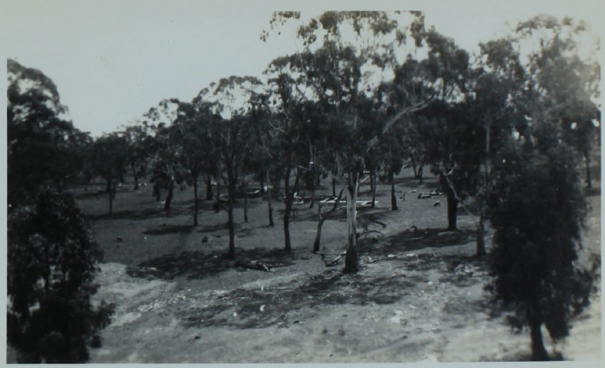 Air raid trenches to the north of Booth Block