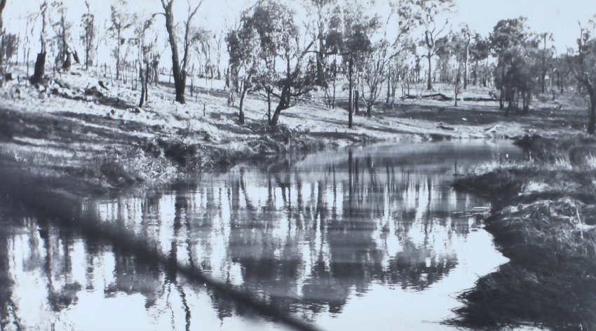 Tom's Gully, 1929  