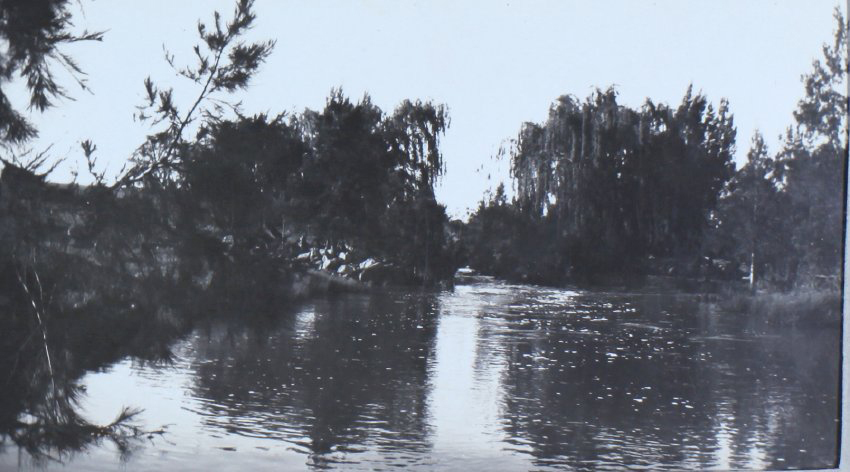 At Gara - "The Willows"  