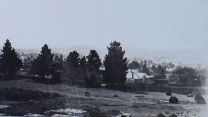 At Tara [?] - Matron's Picnic, 1930  