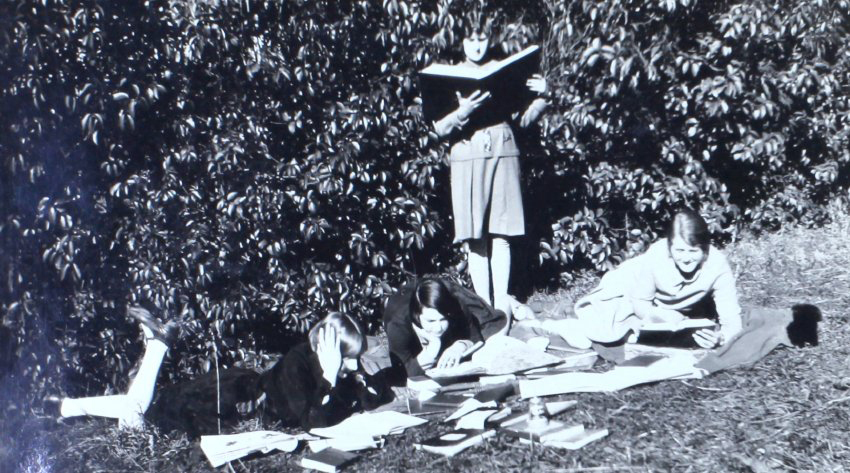 Four women studying on the lawn