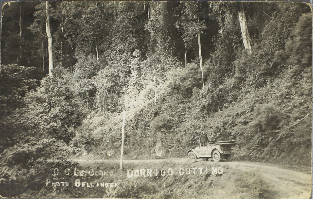 Dorrigo Cutting
