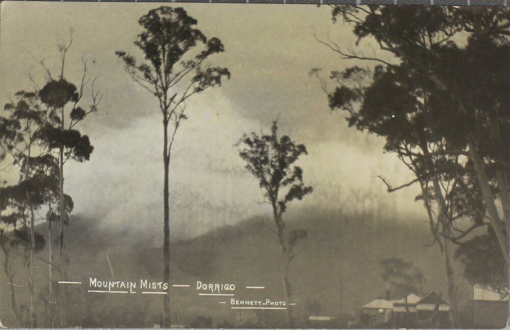 Mountain Mists, Dorrigo