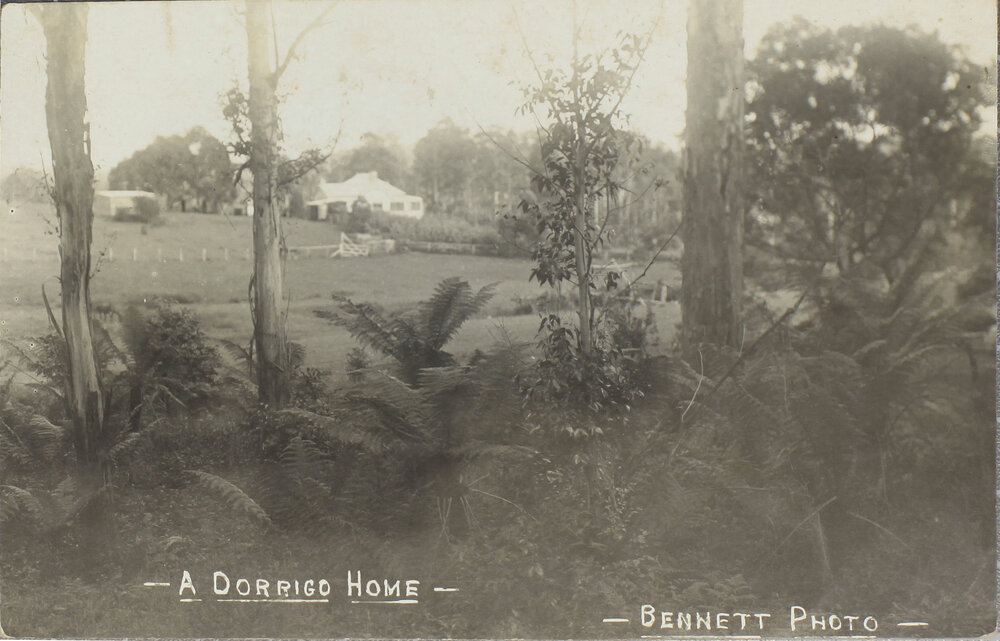 A Dorrigo Home (Second)