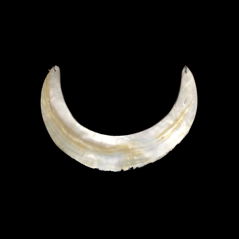 MA2012.7.8 Beaded necklace with semi-circular shell pendant