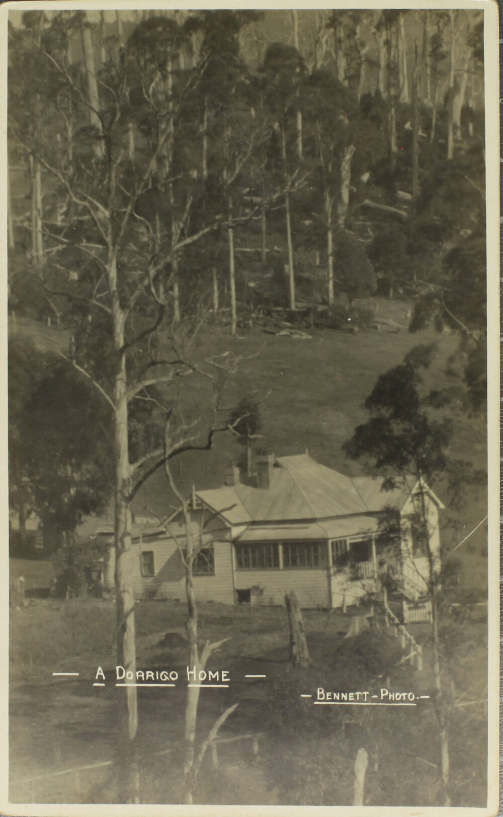 A Dorrigo Home (Third)