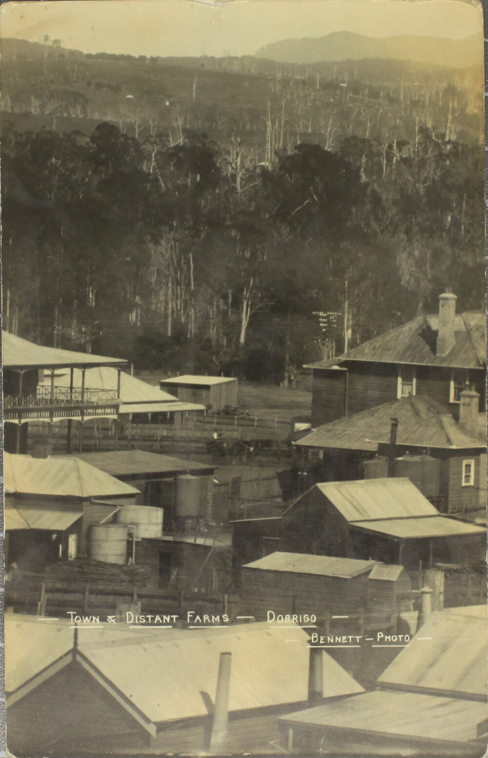 Town and Distant Farms, Dorrigo