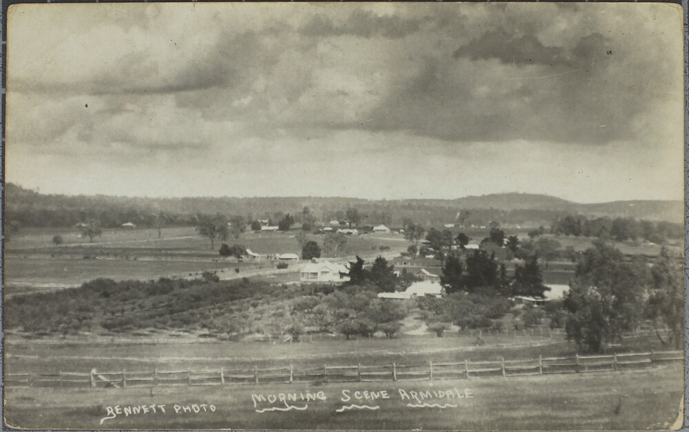Morning Scene, Armidale 