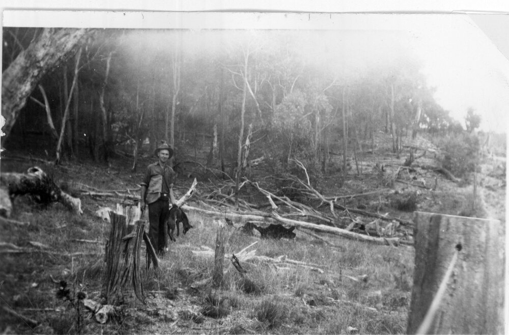 Laurie with fox, c. 1935