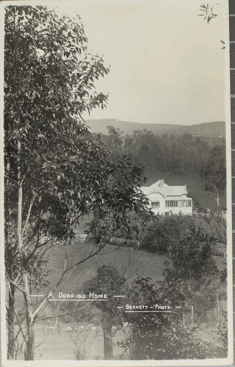 A Dorrigo Home