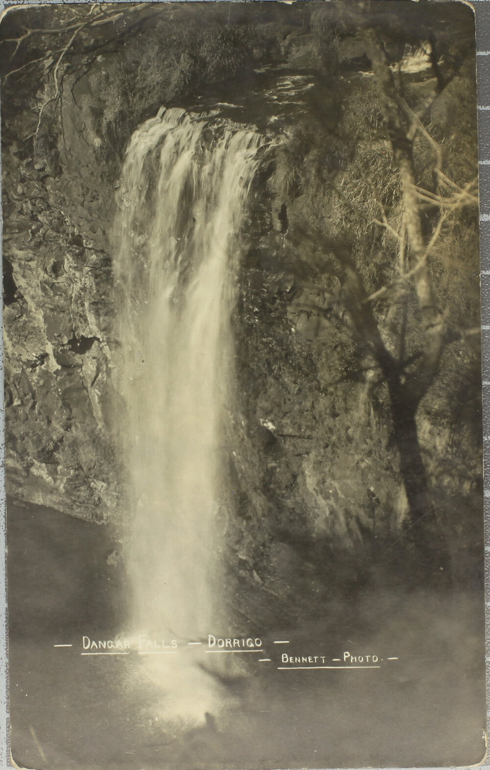 Dangar Falls, Dorrigo