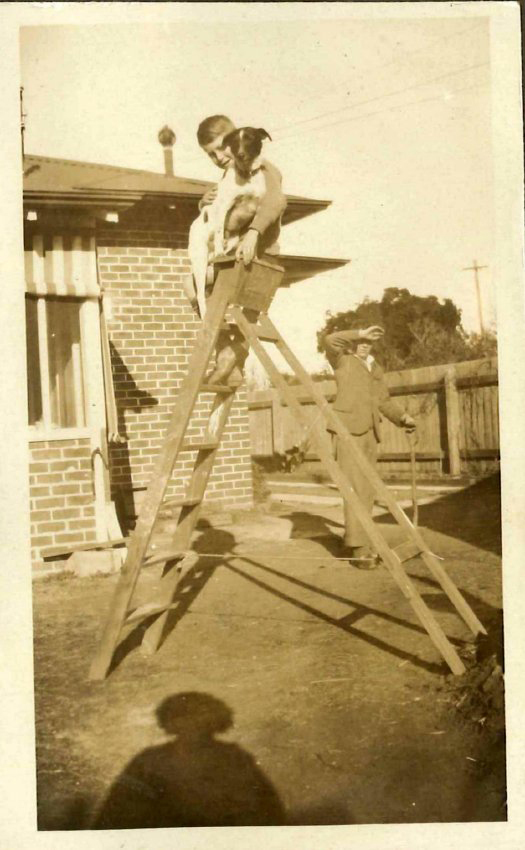 Kingsford Smith Album, A Dog and a Boy on a Ladder