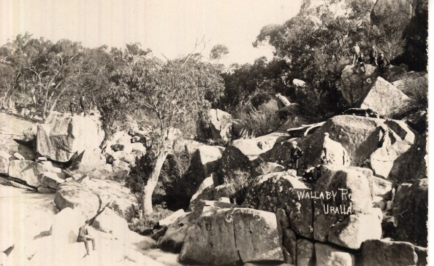 Wallaby Rocks, Uralla