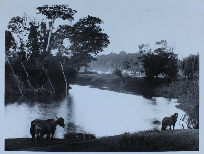 Wilson&rsquo;s Creek at Coleman&rsquo;s Point, Lismore