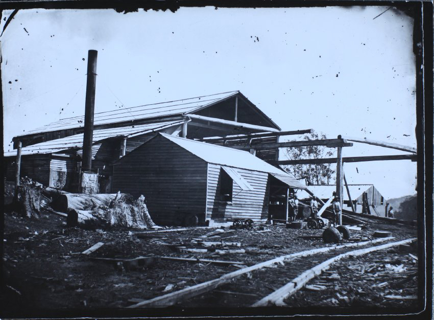 Timber Mill